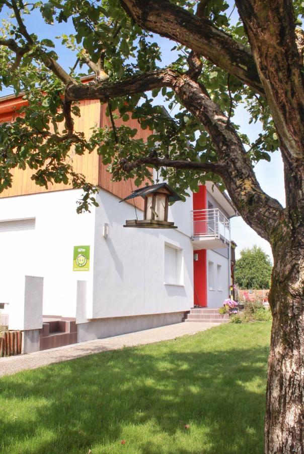 Appartamento Les Coeurs De Cachemire Breuschwickersheim Esterno foto