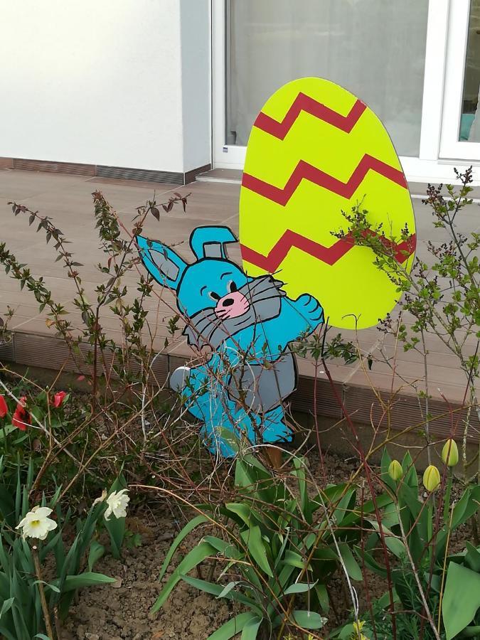 Appartamento Les Coeurs De Cachemire Breuschwickersheim Esterno foto
